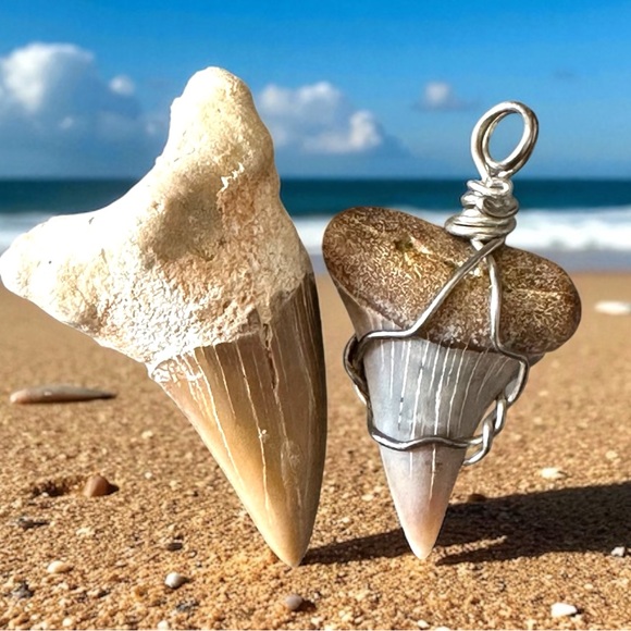 Great White Shark’s Tooth in .925 silver - Picture 2 of 6